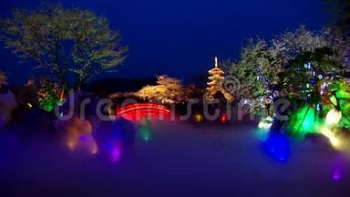 武汉东湖樱花园.